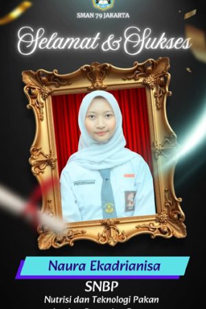 snbp11